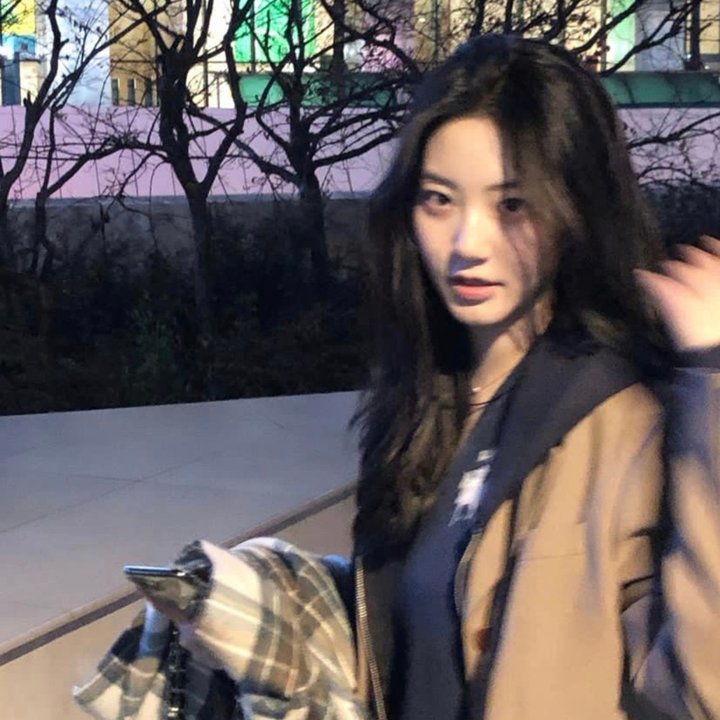 黑木